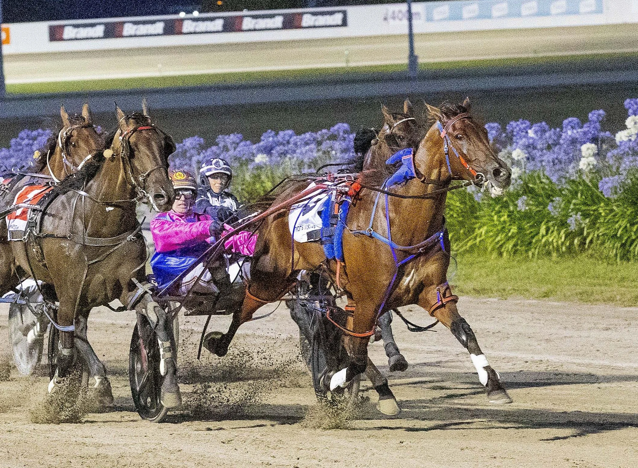 2026 Ballarat Pacing Cup