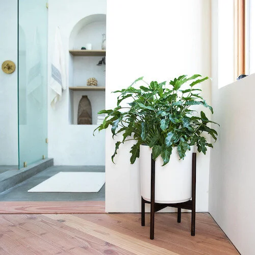 Schoolhouse | Cylinder Planter 