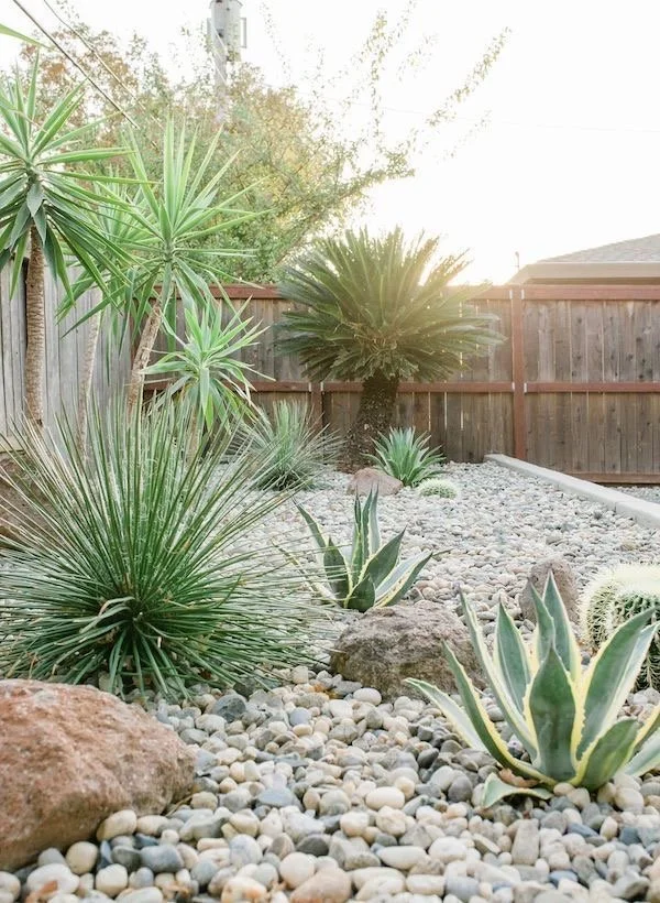 Pebbles &amp; Succulents | Source Unknown