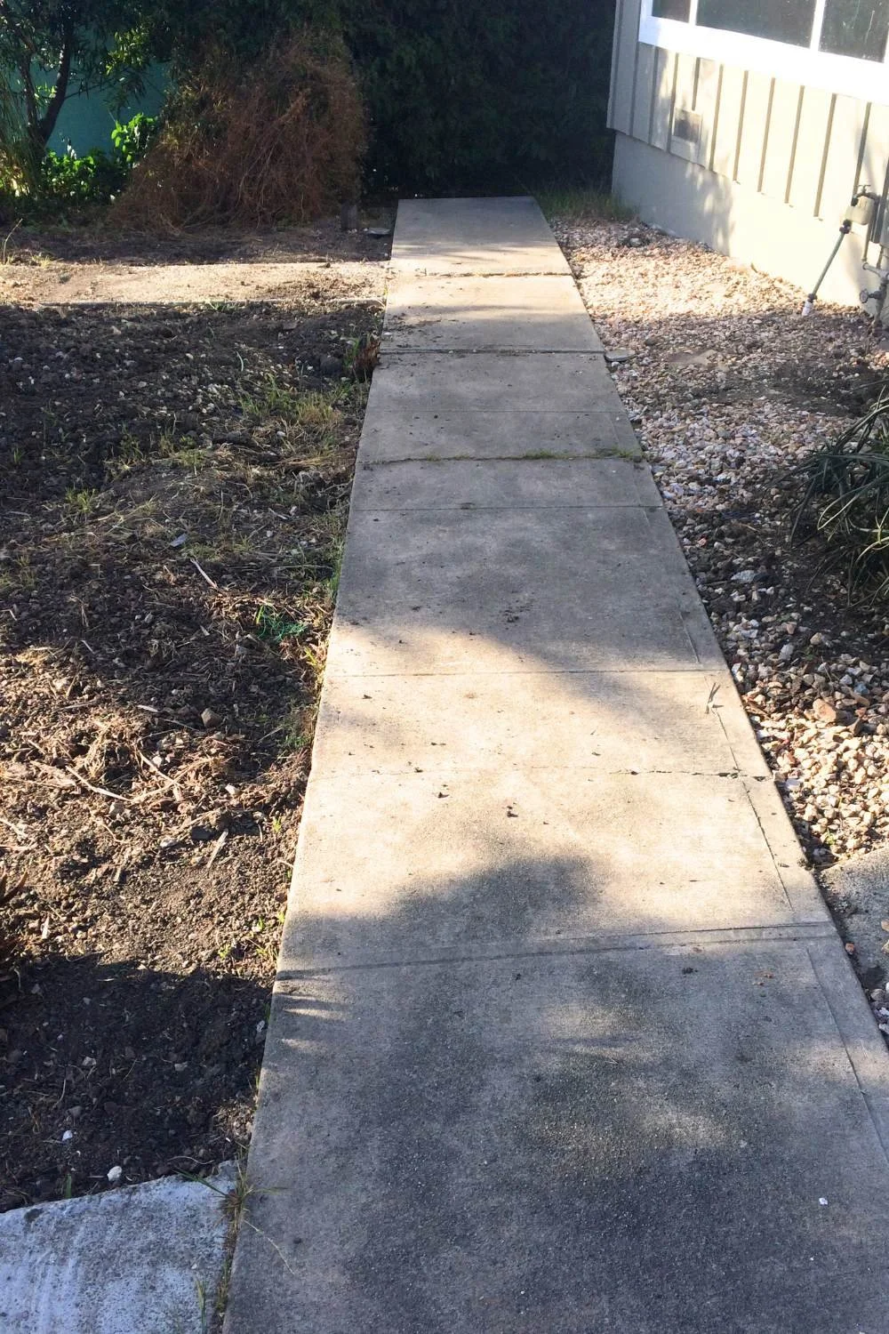 Beginning of yard demo, with this ominous path