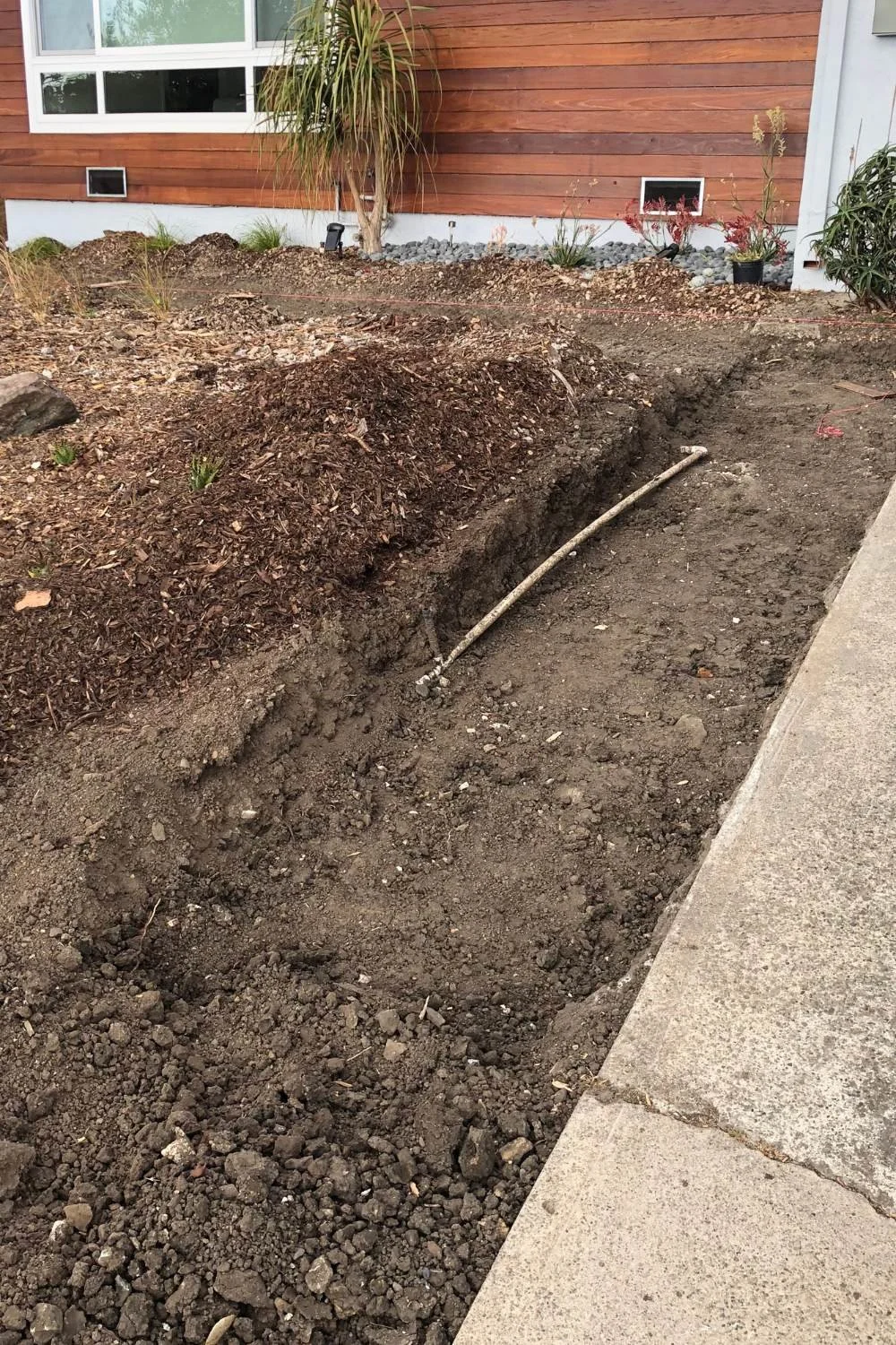 We dug out a 3' path next to the driveway