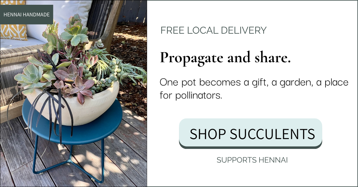 Hennai Succulents.png