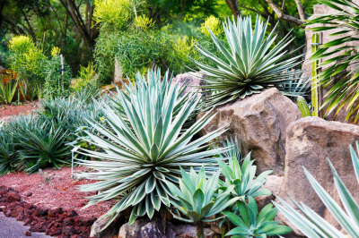 Garden Bed Design.png