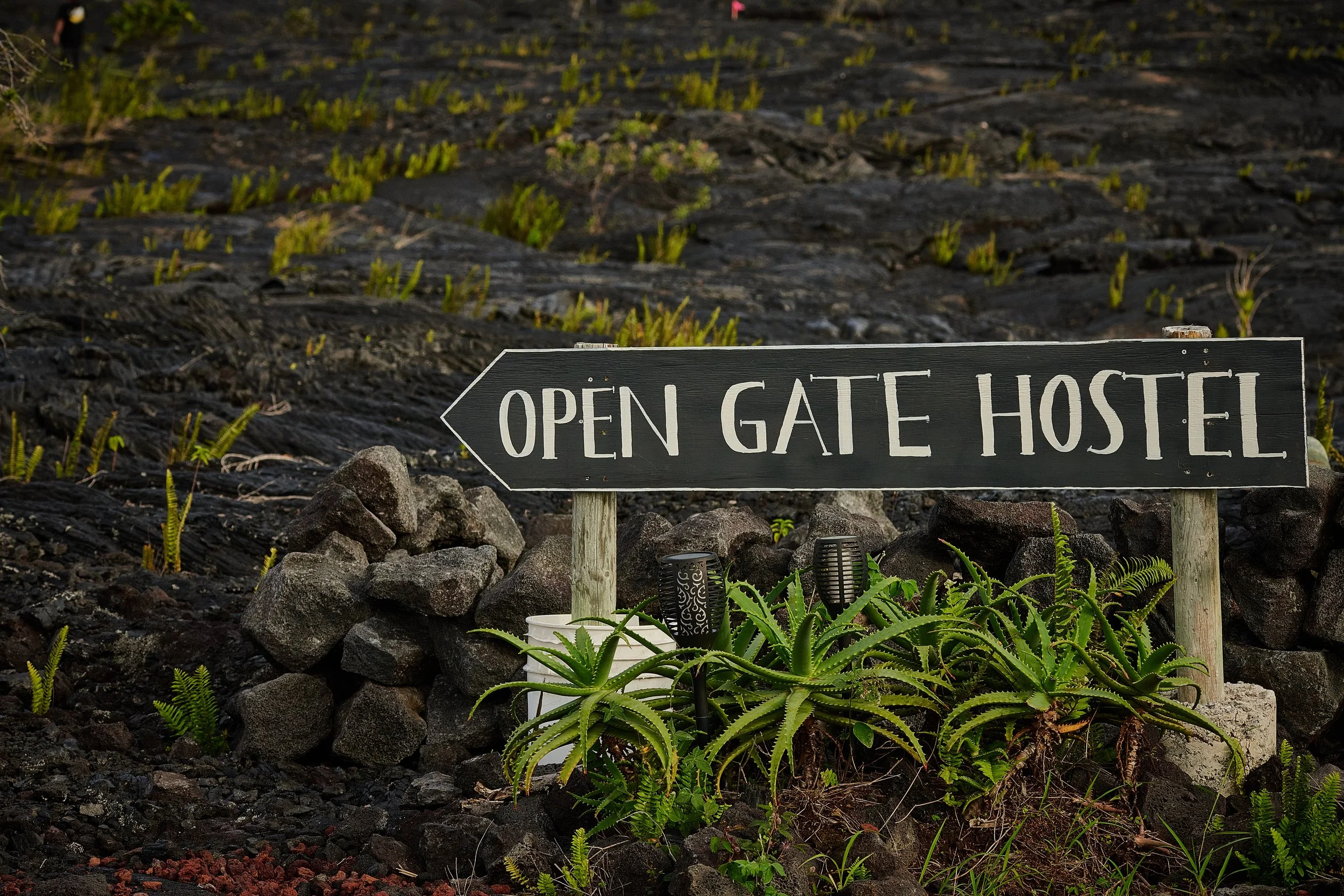 HA-WAII-2026-I-5JW_1224.jpg