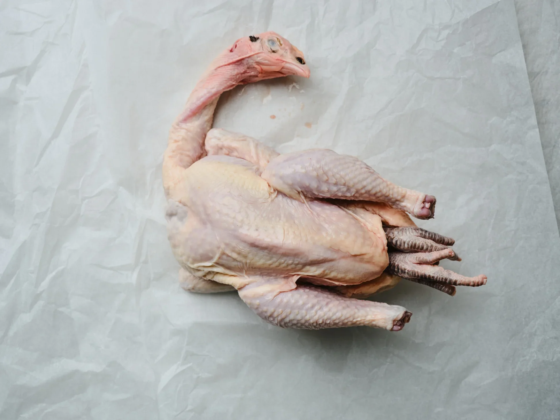 Whole-Pastured-Bundarra-Chicken.webp