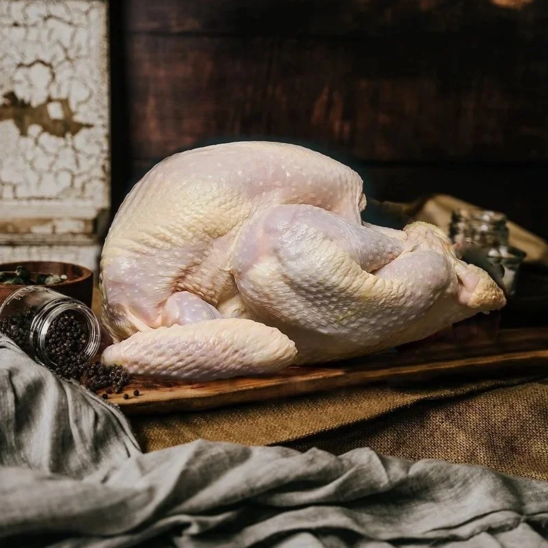 Testing Christmas Turkey