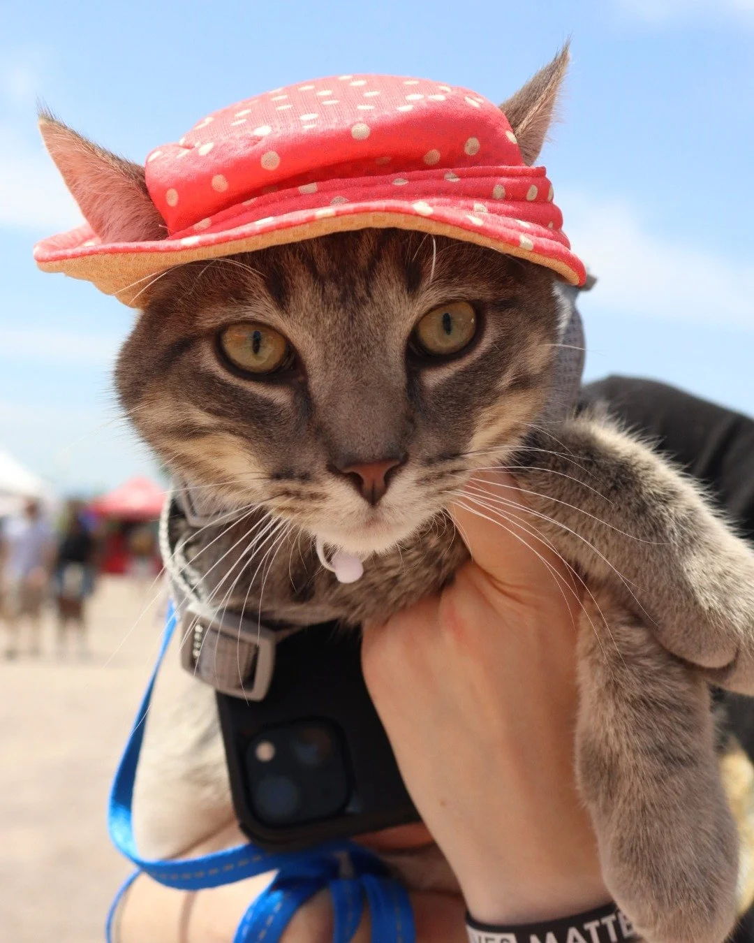 Mark your calendars, because on October 18 our Annual Critter Costume Contest is back! From dogs and cats to ferrets, lizards, and beyond...ALL creatures are welcome to strut their stuff in our most inclusive contest yet.

Winners will be crowned in 
