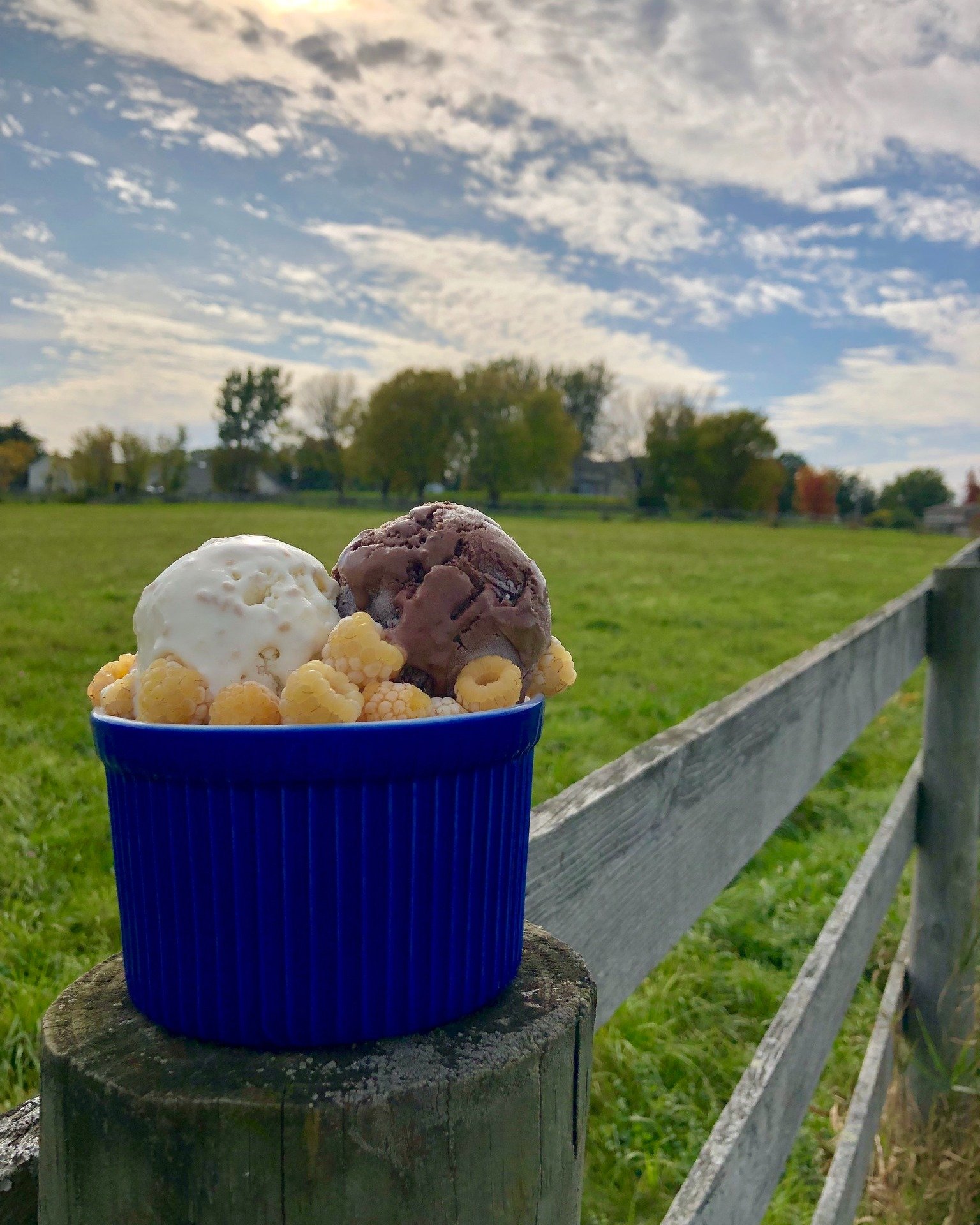 Time for just one more vendor feature ahead of the holiday! Today, meet Sisters of Anarchy Ice Cream 

My husband, Bob Clark, and I (Becky Castle) started our farm in Shelburne 2013 converting an empty field into a fruit farm that now has 35,000 row 
