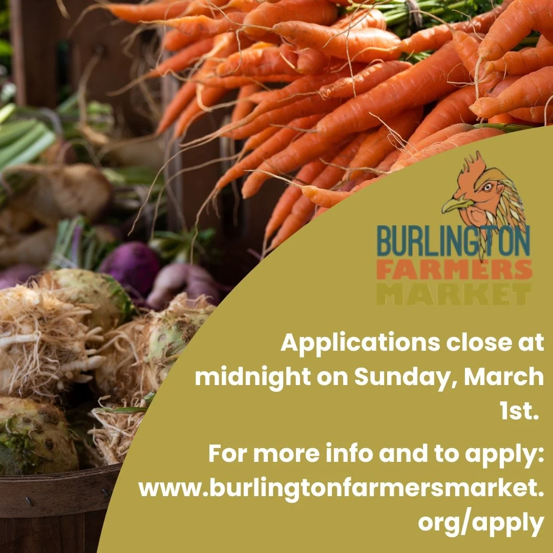 There&rsquo;s less than one week left to apply for our summer market season❗ Applications close at midnight on Sunday, March 1st. 

Head to the link in our bio to learn more and apply.