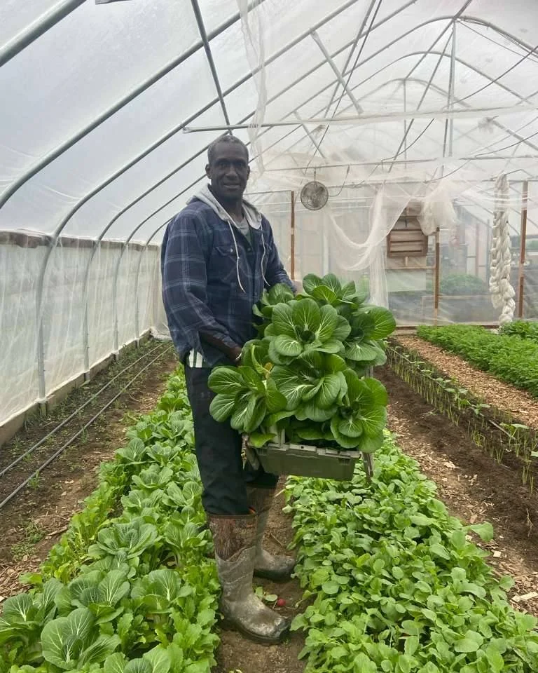 We are so excited to welcome @khelcomfarm to market this summer!

"Khelcom Farm is a Black-owned, family run urban farm located in Berlin, VT.  We offer a wide variety of certified organic vegetables, culinary herbs, and cut flowers grown on jus