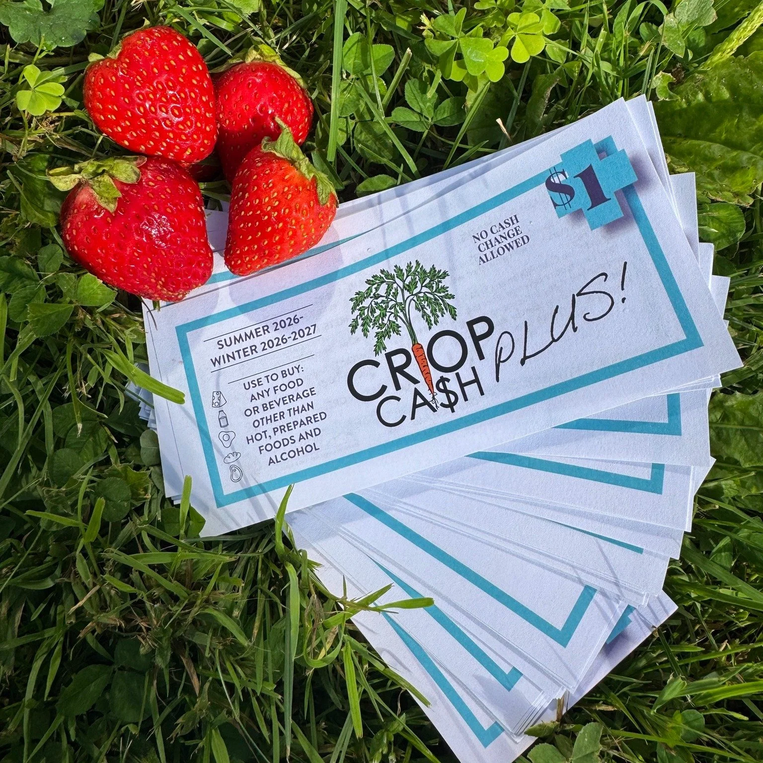 Red, white, and blue - this fourth of July weekend we're so excited to bring back Crop Cash Plus!! For the rest of the season SNAP customers can receive up to a $10 match to spend on groceries at the market - more nutritious food for more people, and