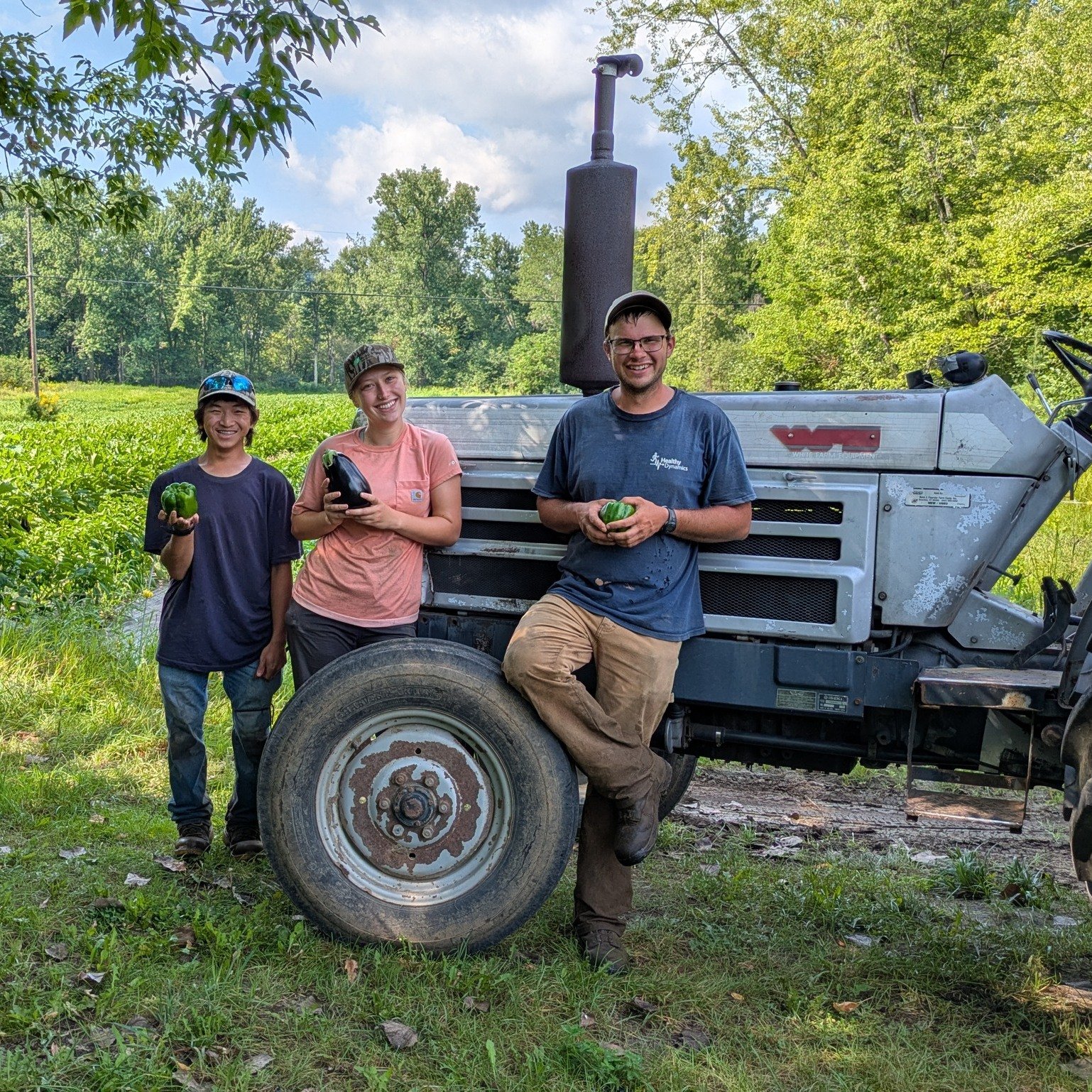 Today is Vermont Primary Day - don't forget to vote! It's also an excellent day to learn about new BFM vendor @wittacresfarm 

Witt Acres Farm is a small diversified beef and organic vegetable farm tending 35 acres in Fairfax, VT. Find a wide variety