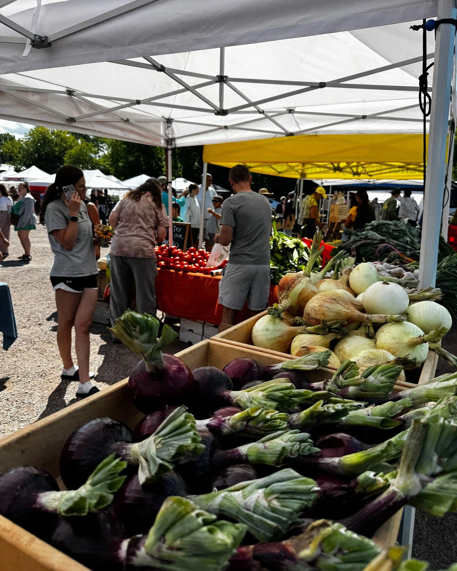 We're over halfway through the season! 🌽 Peak produce is here, so if you haven't made it to market yet, NOW is the time. Grab your grocery list and come on down to 345 Pine St, tomorrow from 9am&ndash;2pm.

You'll find the freshest, most nutrient-de