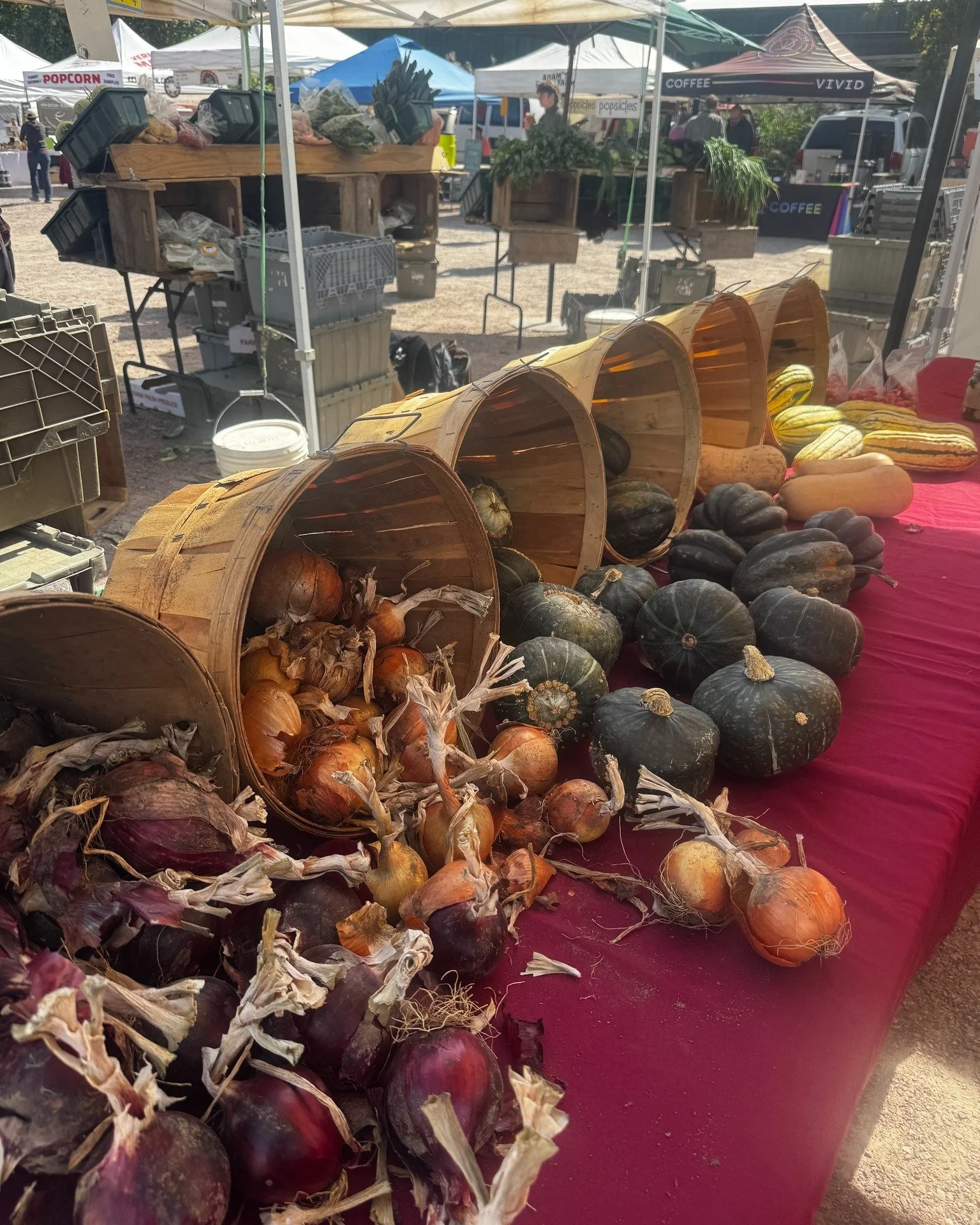🍂 It's a glorious time to be at the market! Fall favorites are showing up while summer abundance is still going strong - think sweet peppers, tomatoes, and berries right next to apples and squash. 🍎🌽

Grab a bag of crisp apples, warm up with fresh