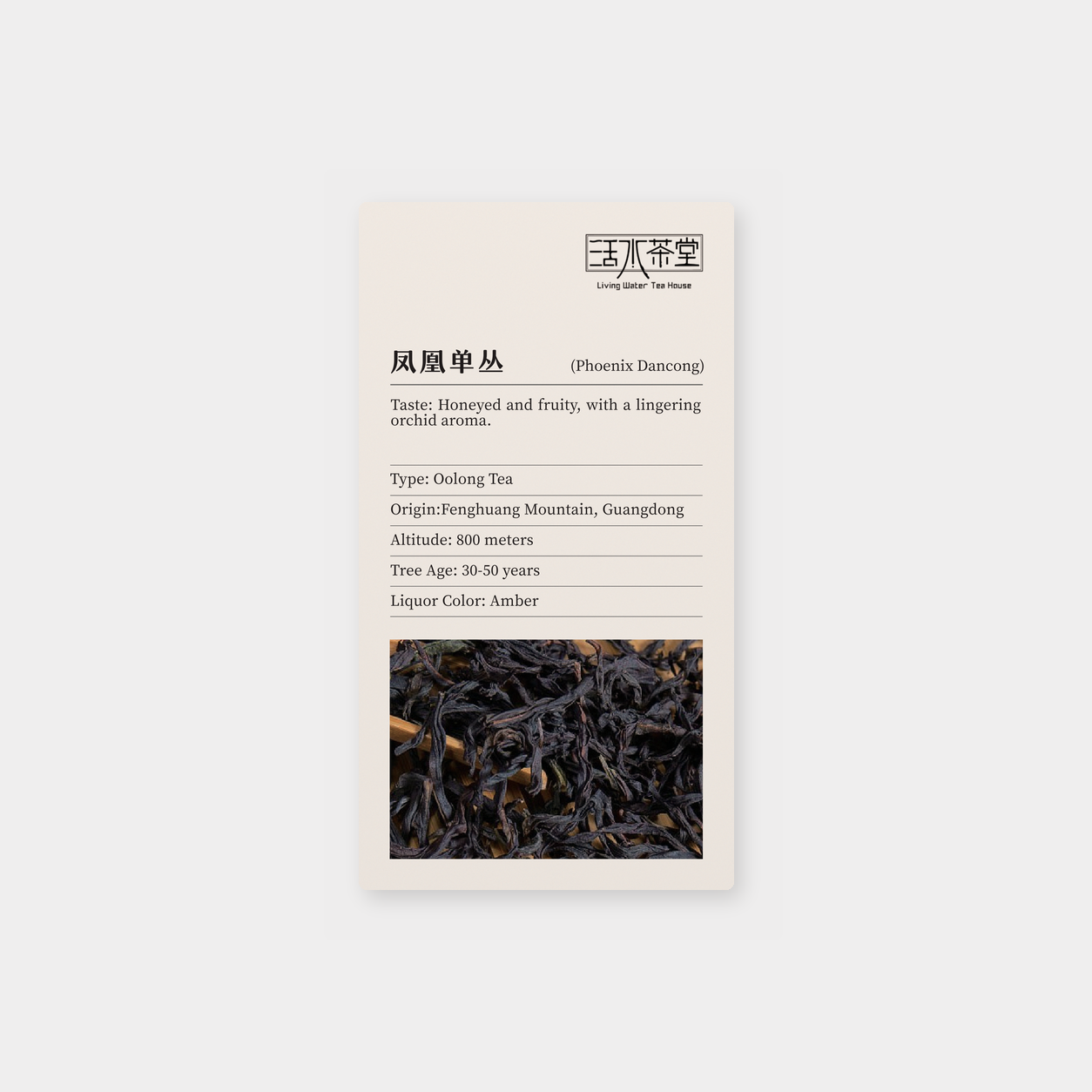凤凰单丛_mockup.png