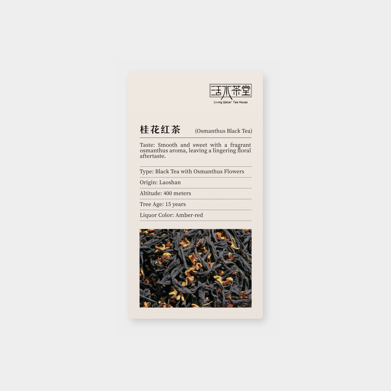 桂花红茶_mockup.png