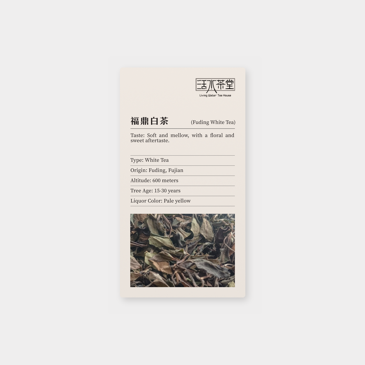 福鼎白茶_mockup.png