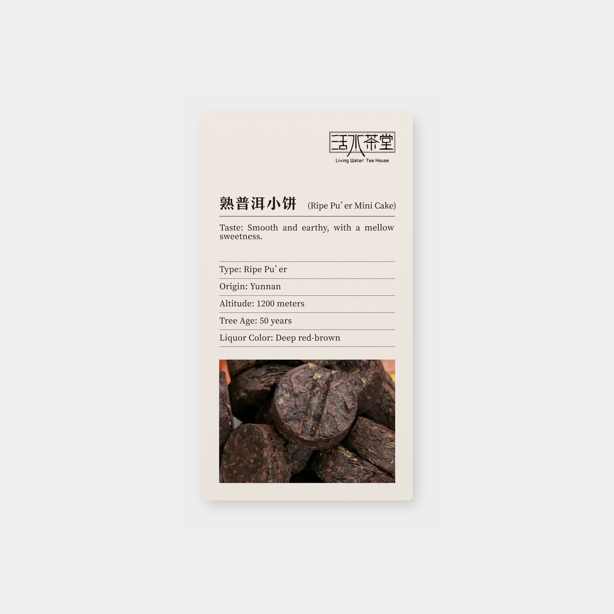 熟普洱小饼_mockup.png