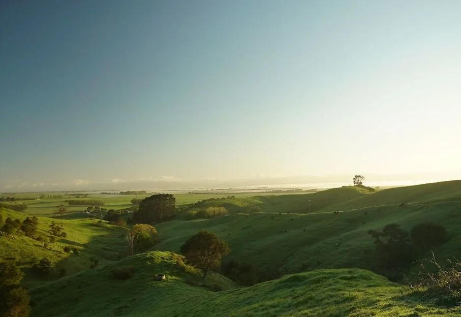 Southland SUggie.jpeg