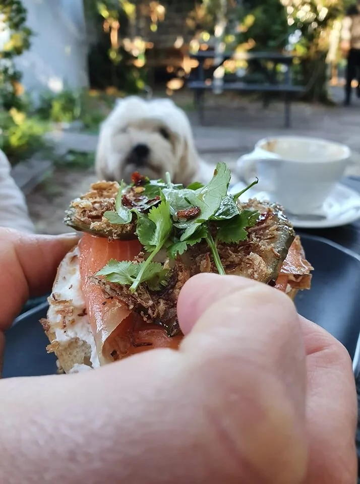 Little Guy Bagel &amp; Brew (<em>Bay of Plenty</em>)