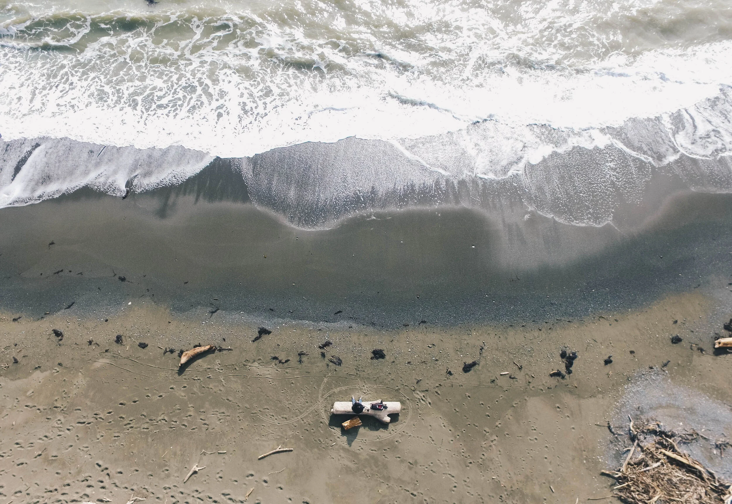 Northland Suggie.jpg