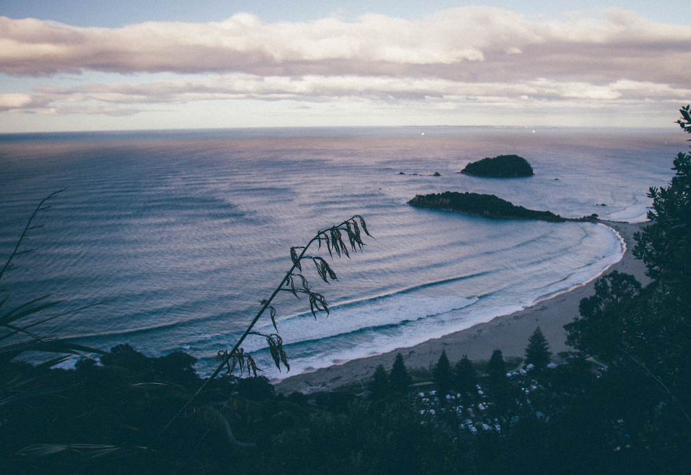 Screen Shot 2020-06-02 at 3.46.55 PM.png