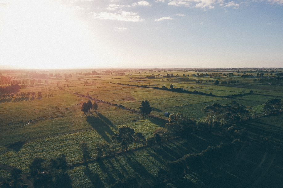 Screen Shot 2020-06-02 at 3.52.29 PM.png