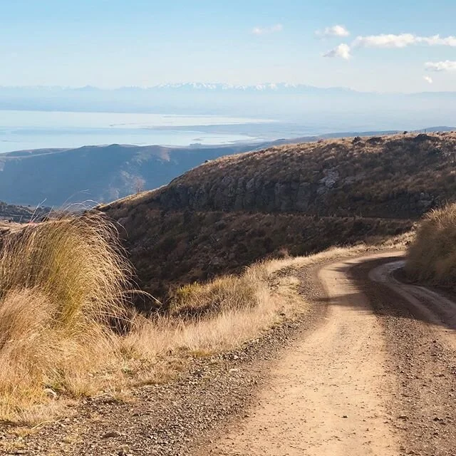 We recently had a good yarn with the @recreational_societynz about our search for Southern Serentity🏔
.
.
Check out the link in our bio for the full read🙌🏻🚐
.
.
📸Thanks to our good friend @suggiesspace for capturing such awesome pics of our adventures✌️