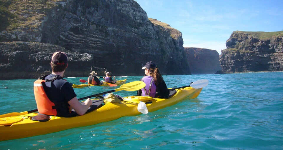 Spend the day exploring the outer coast of Pohatu Marine Reserve by kayak! Marvel at its spectacular towering cliffs, rock stacks, reefs, and deep sea caves.