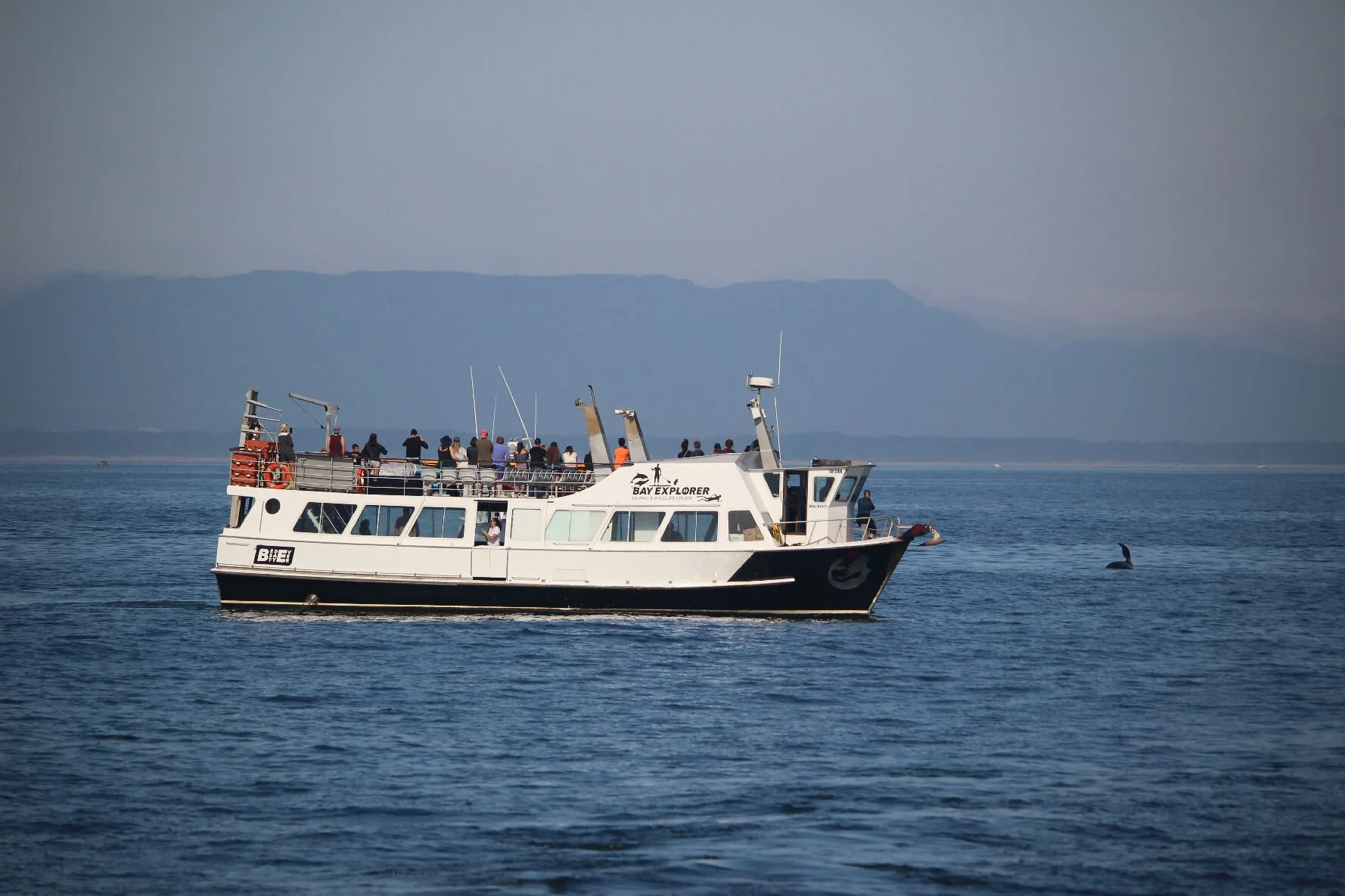 Orca _ Boat copy.jpg