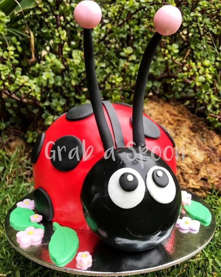 ladybug cake