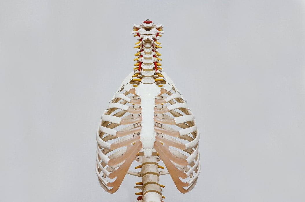 What is the difference between a chiropractor and an osteopath?