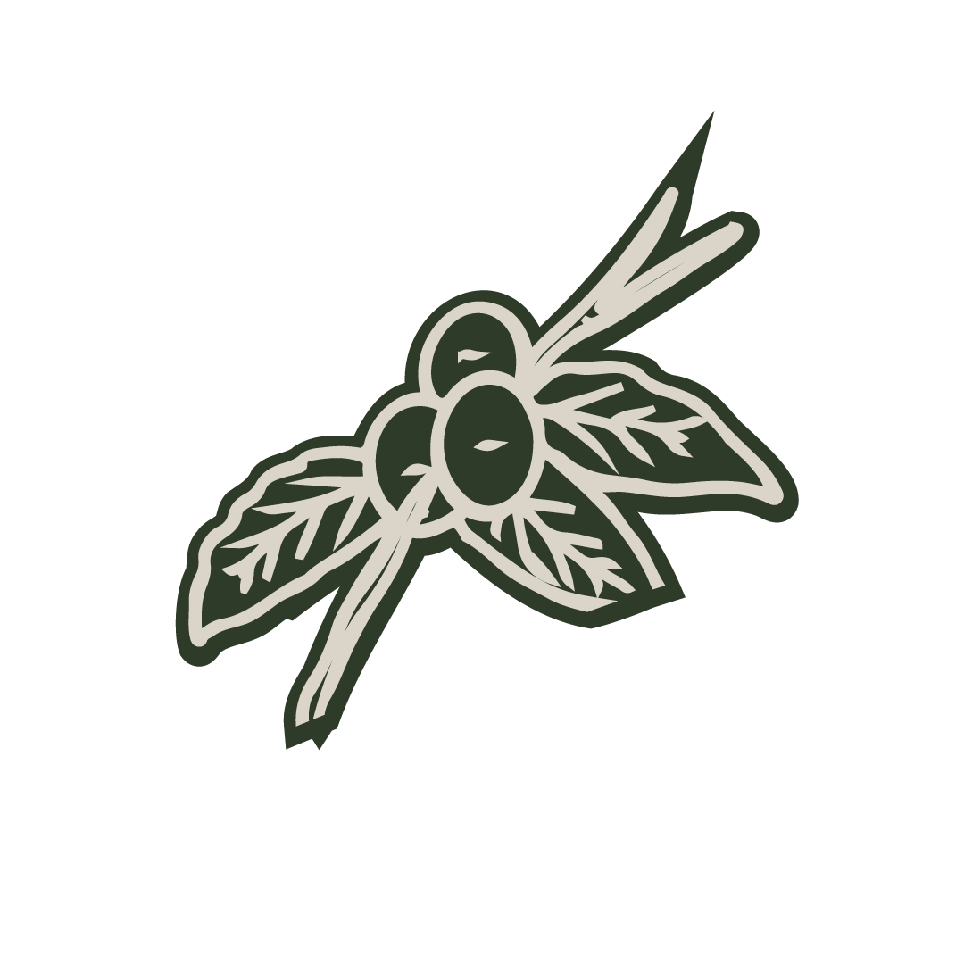 Stylized illustration of an olive branch with leaves and olives.