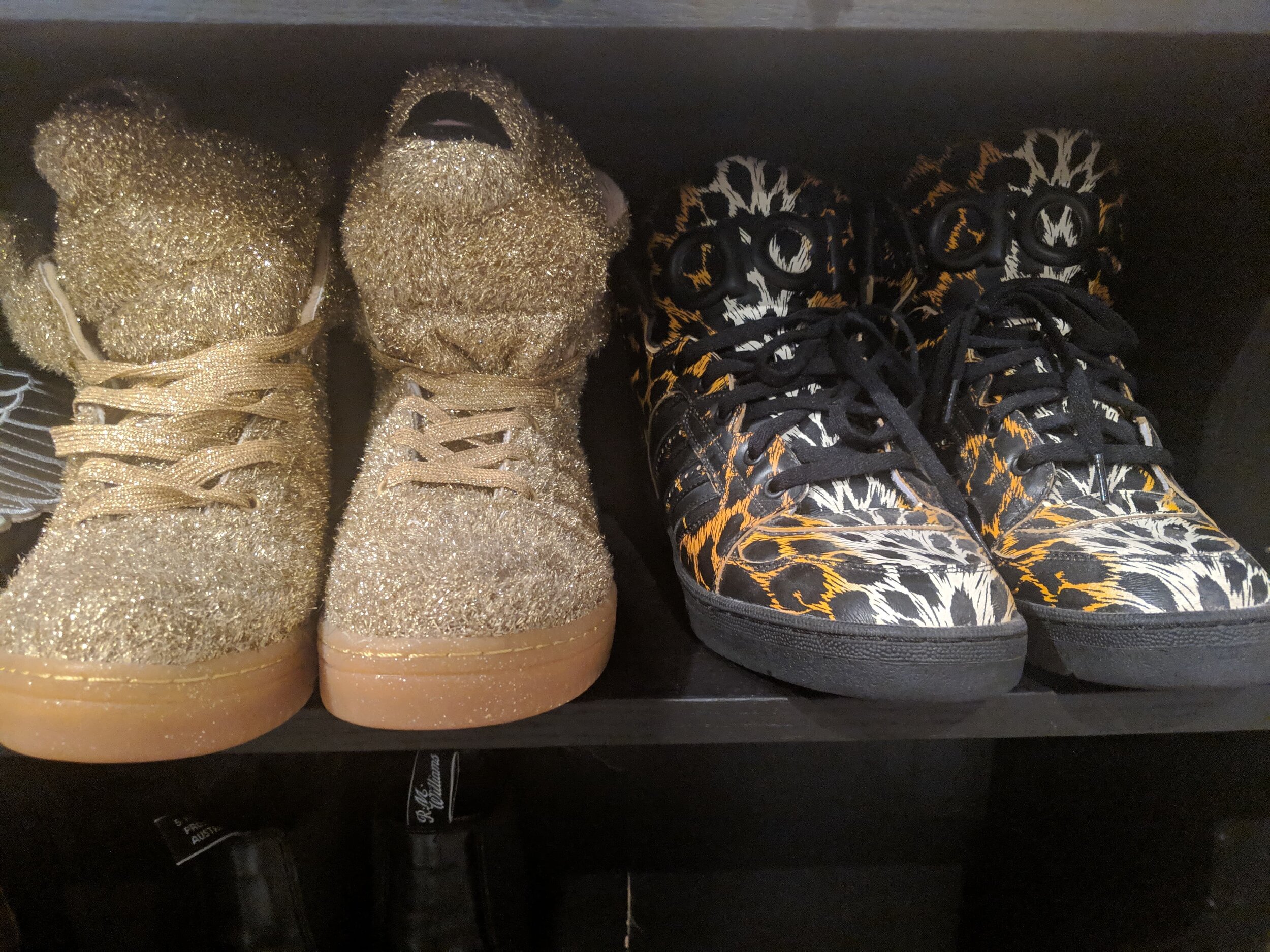 Dinaz_Photo3 (Animal print sneakers).jpg