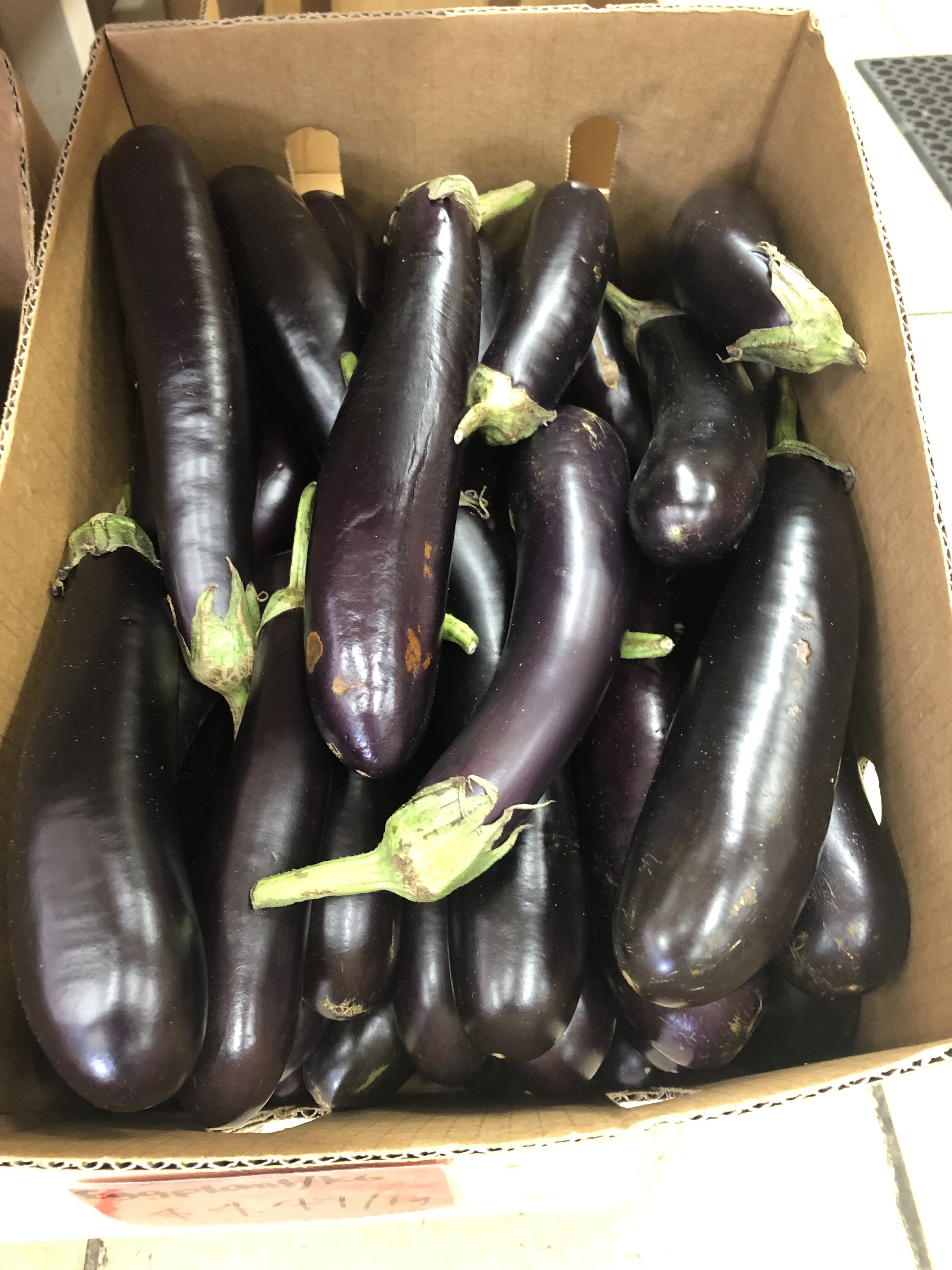 Jennifer_Photo10 (Eggplants in box).jpeg