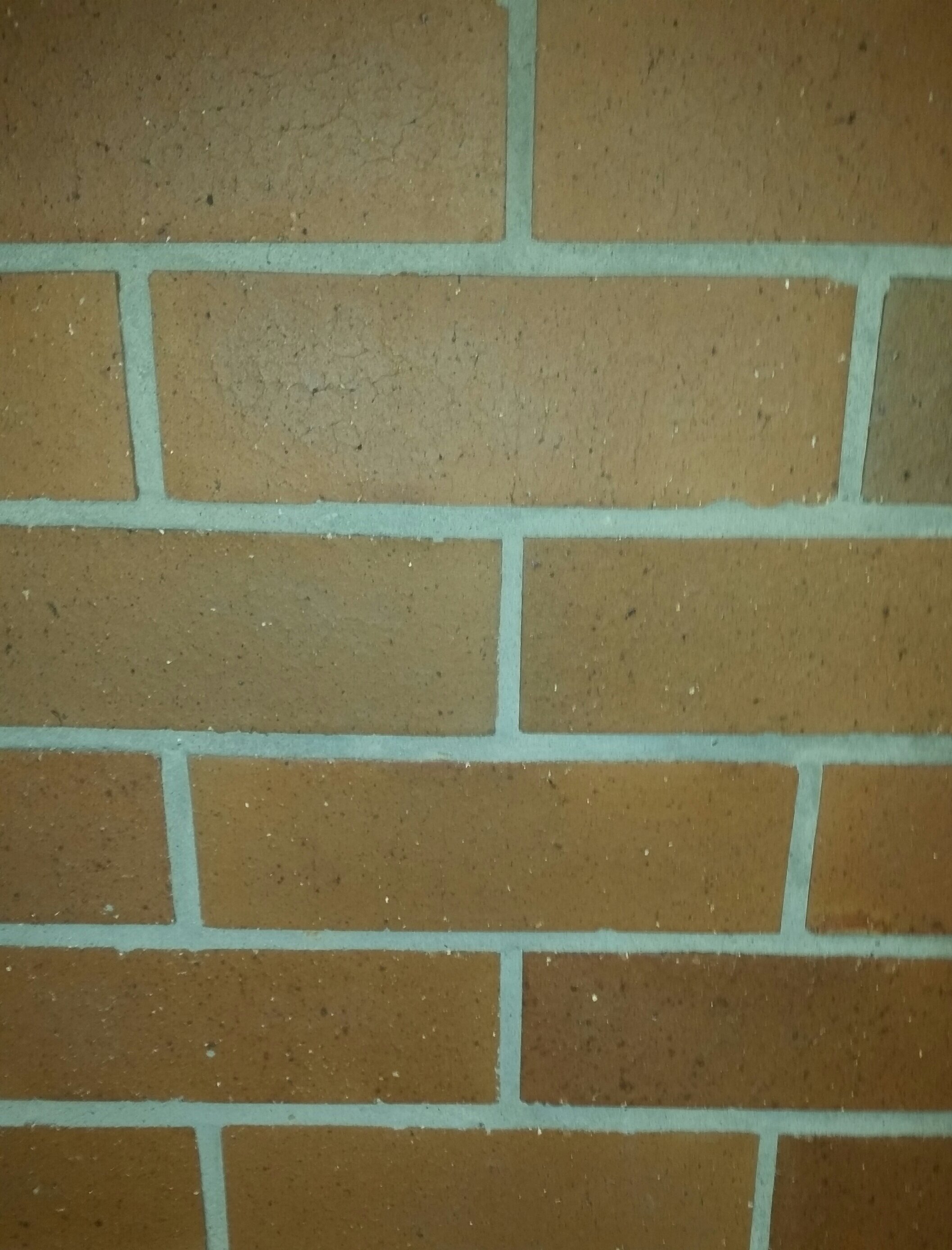9-Brick-Wall.jpg