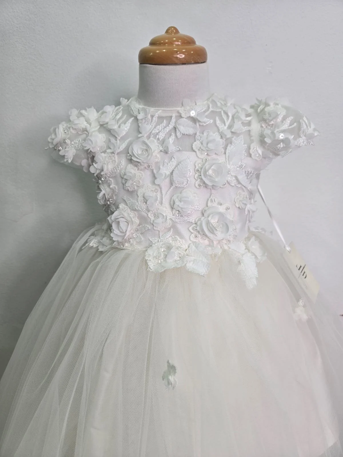 WhatsApp Image 2026-01-31 at 8.52.17 AM.jpeg