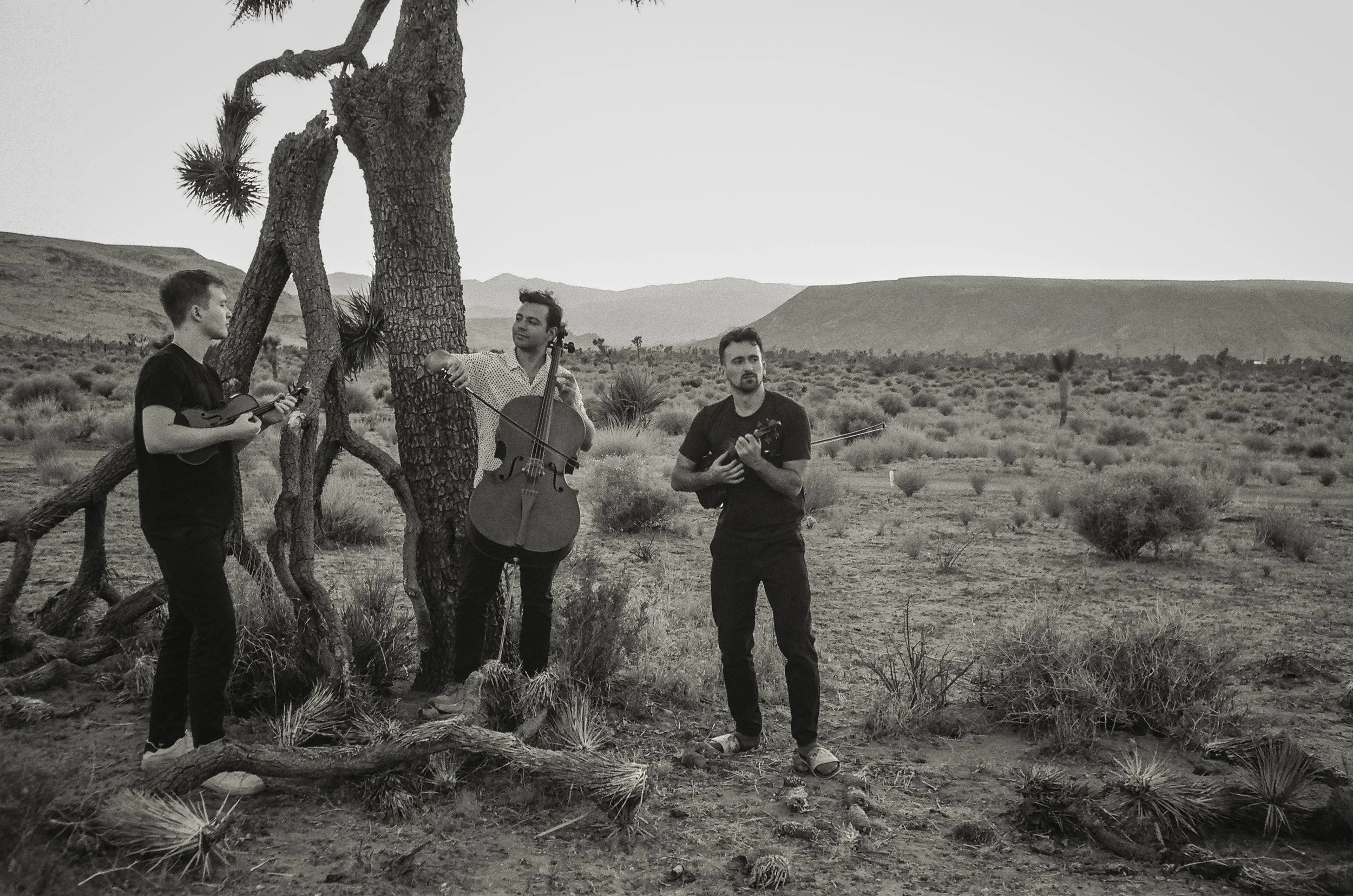 Beale Street Theater