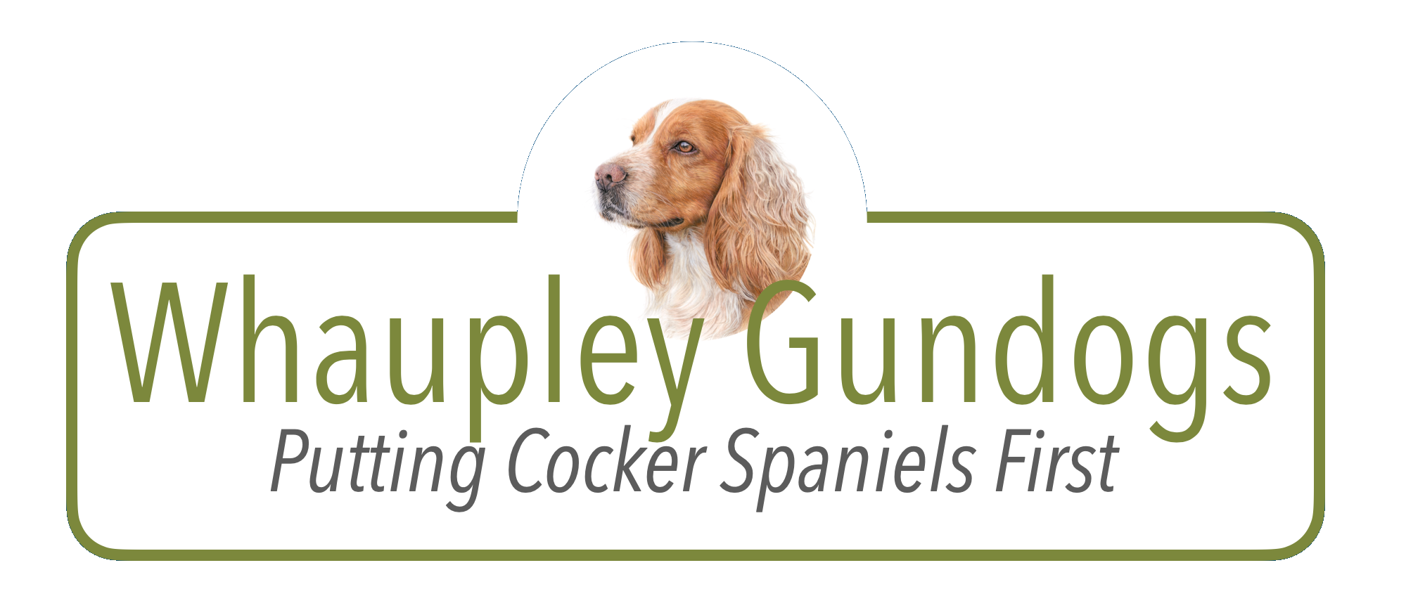 whaupley gun dogs