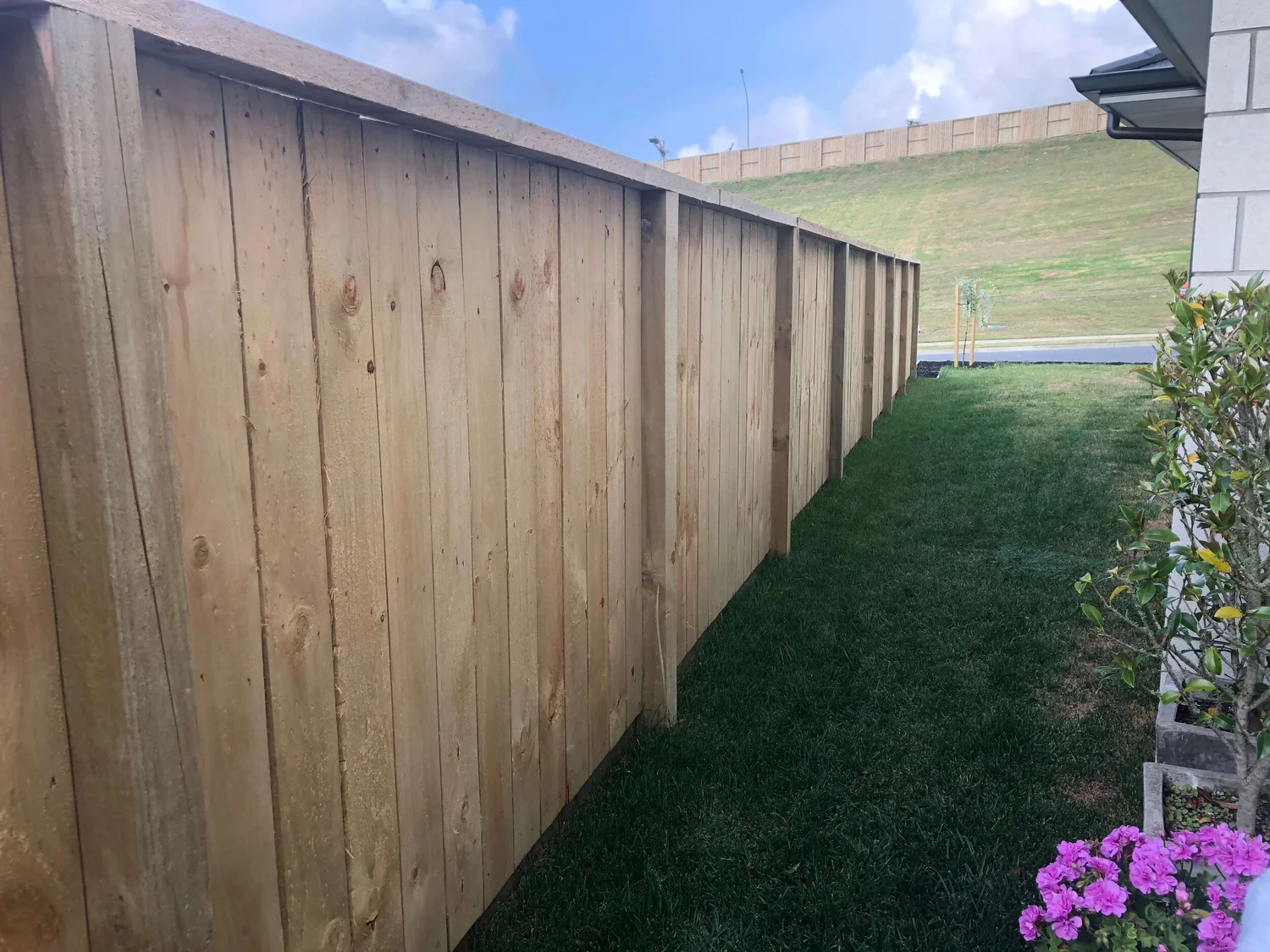 Pool Fencing Tauranga — Klinks Fences & Decks