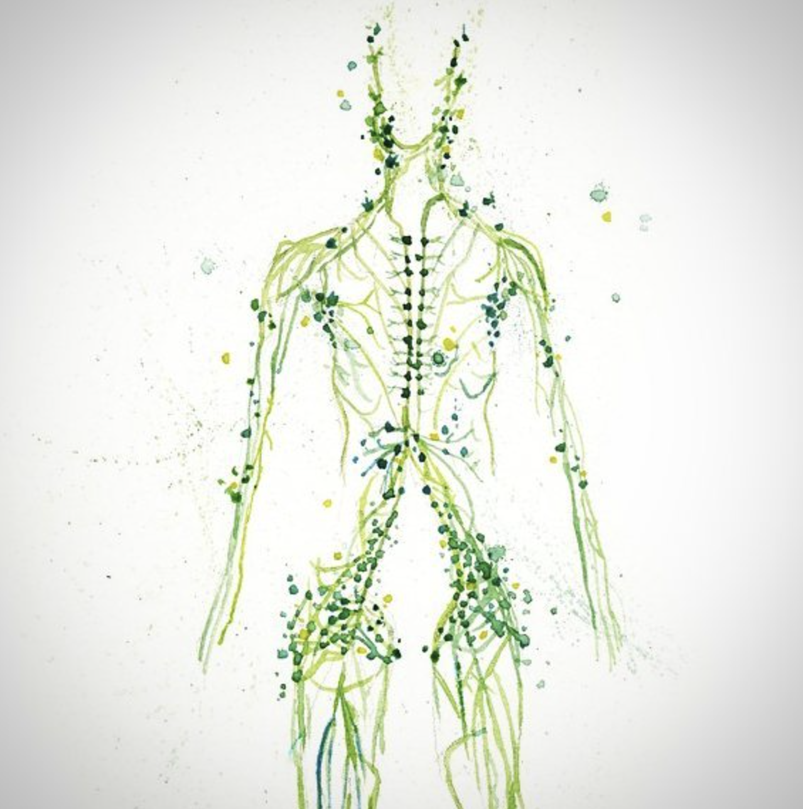 The Lymphatic System – Why Is It So Important?