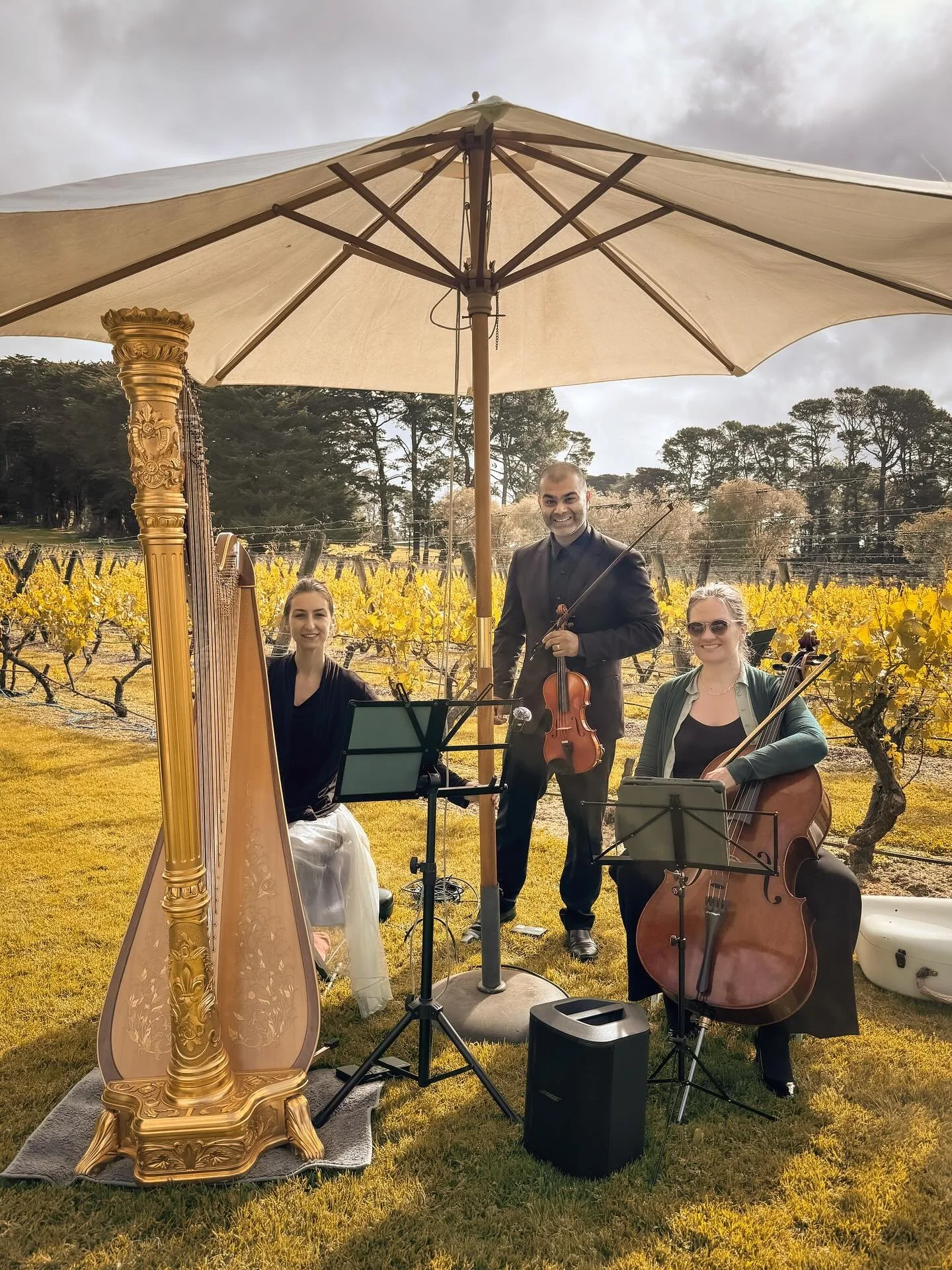A wonderful wedding our harp, violin and cello trio performed at last weekend - music for the ceremony and music for canap&eacute;s 🎶

#melbourneharpist #musicmelbourne #eventmusic #harp #harpist #harpandcello #harpandviolin #harpviolincellotrio 
#m