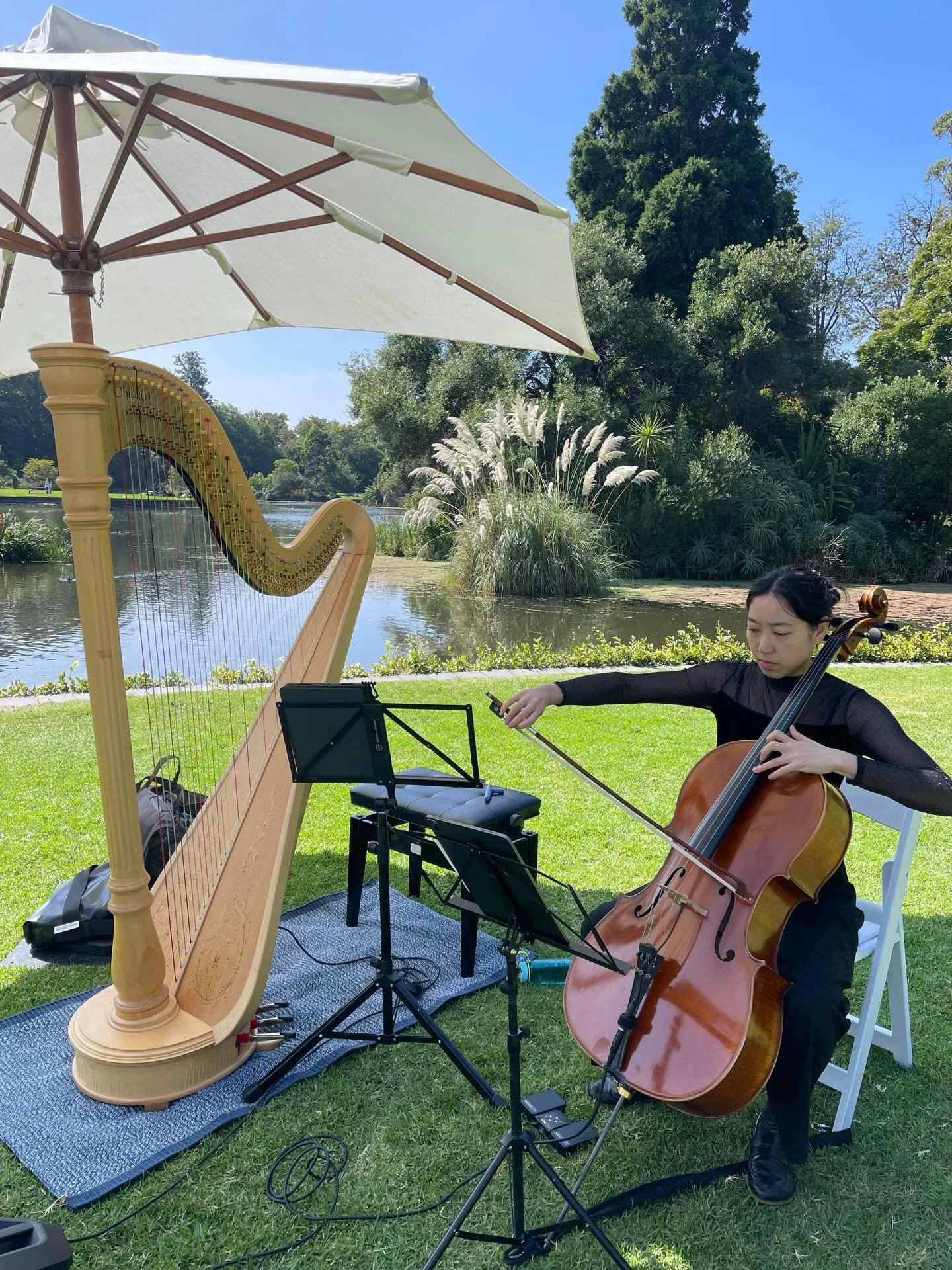 Throwback to last week, sunny skies and a beautiful wedding our harp and cello duo performed at.

#artela #melbourneharpist #melbournecellist #weddingmusicians #weddingentertainment
