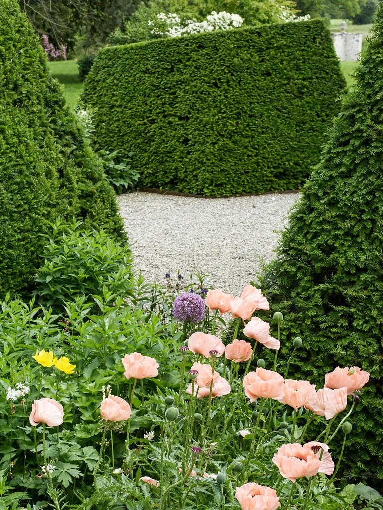 Visite des jardins et dégustation