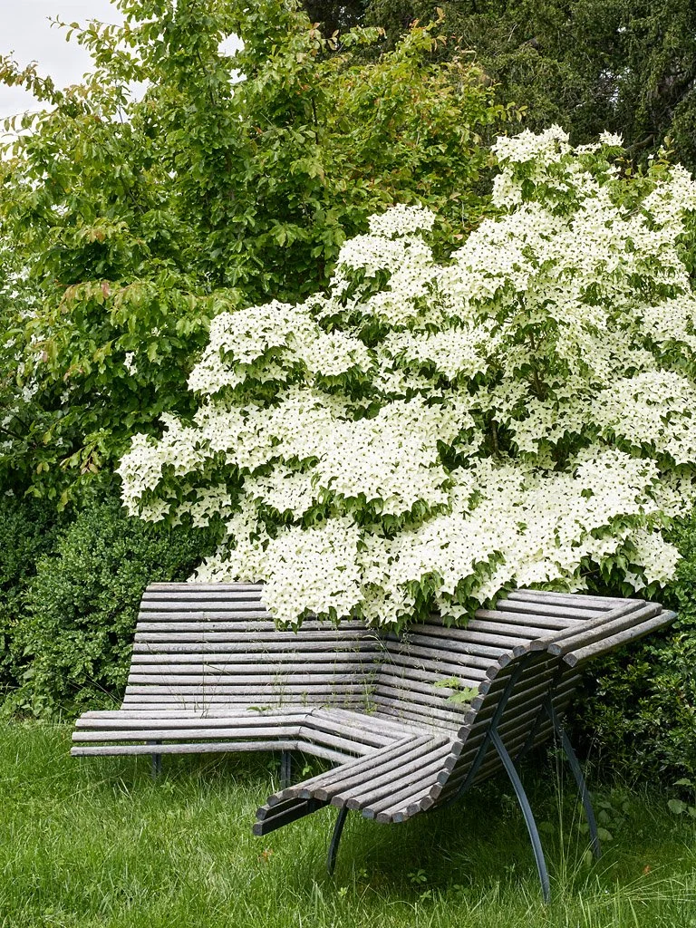 Visite des jardins et dégustation 