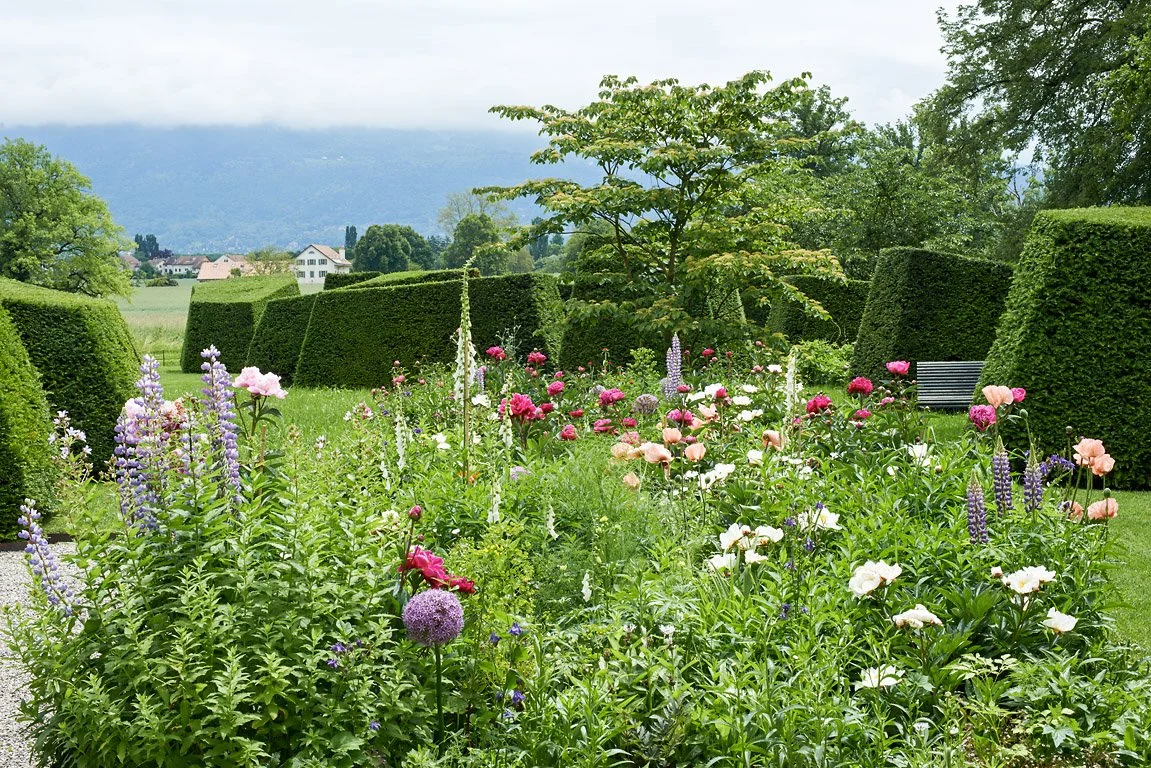 Visite des jardins et dégustation 