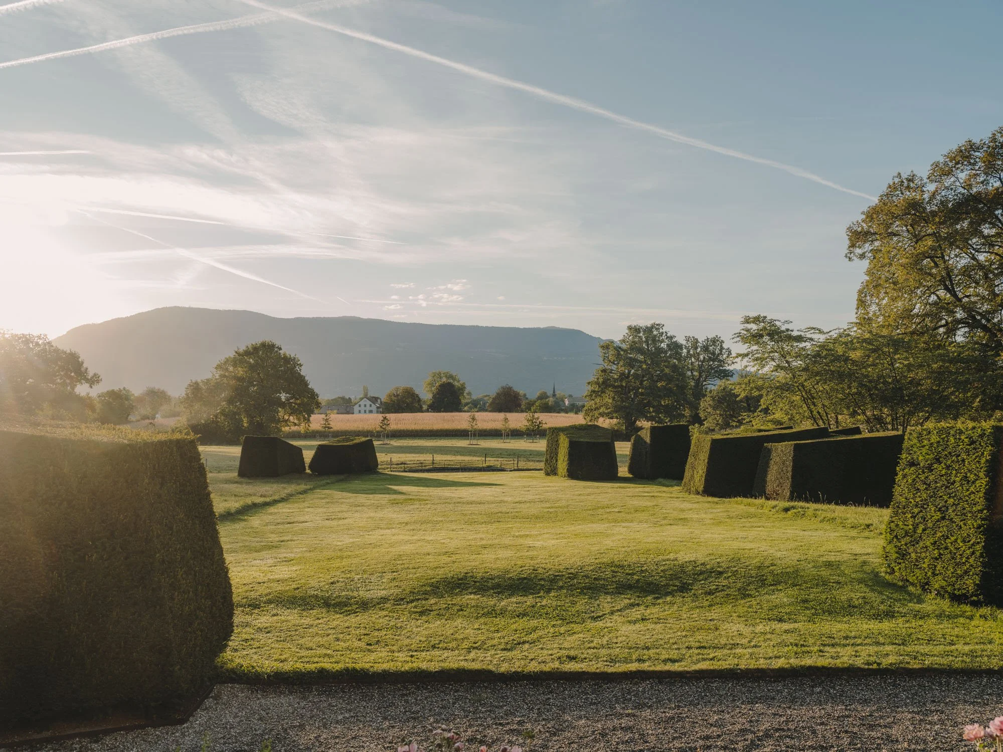 Visite des jardins et dégustation 