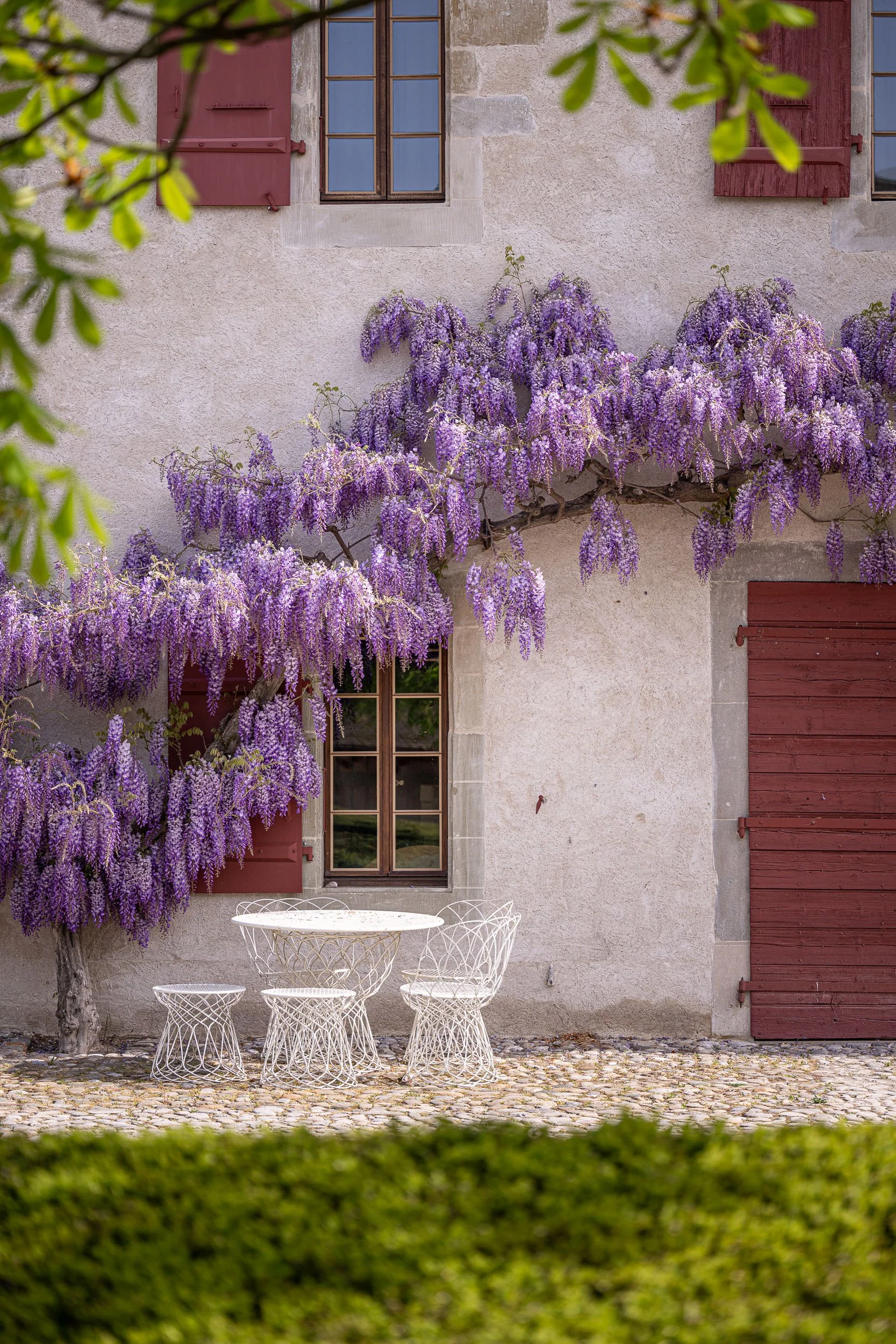 Embouteillage + Jardins-45.jpg