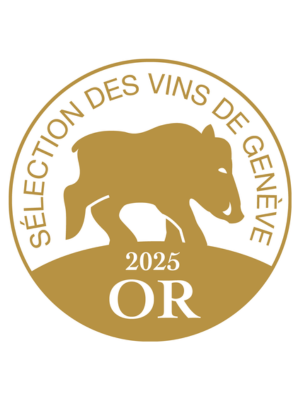 Design sans titre.png