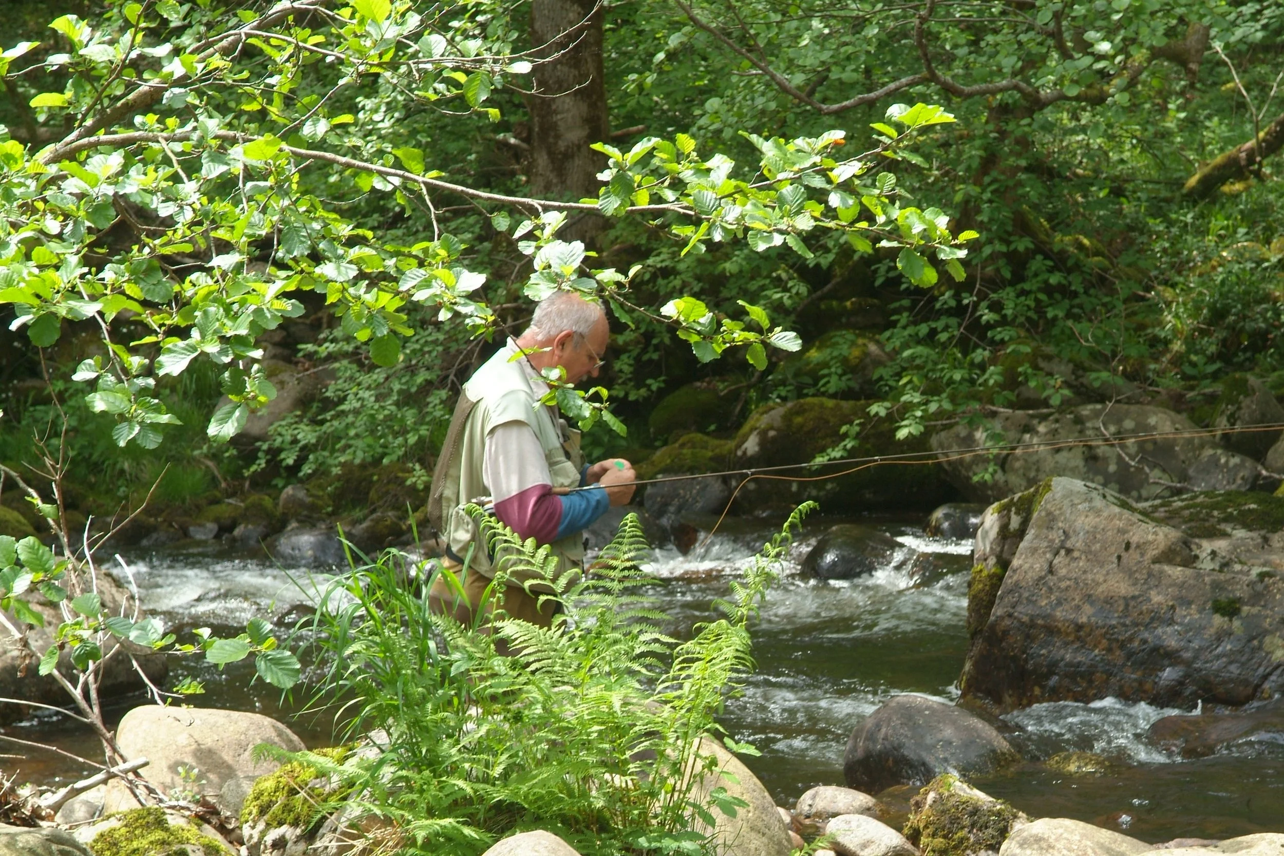 Pêche de la truite de rivière à la mouche artificielle